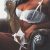 Farklı Fantezi Yaşamak İsteyenlere Türbanlı Escort Hale - Image 3